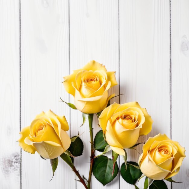 Foto três flores de rosa amarelas sobre fundo de madeira branca cartão de saudação romântico para o dia dos namorados