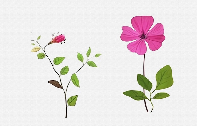 três flores diferentes com folhas e uma borboleta sobre elas
