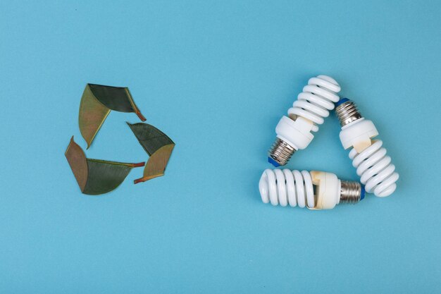 Foto três folhas de ficus e três lâmpadas economizadoras de energia em forma eco verde reciclagem de energia isolada na legenda azul para texto