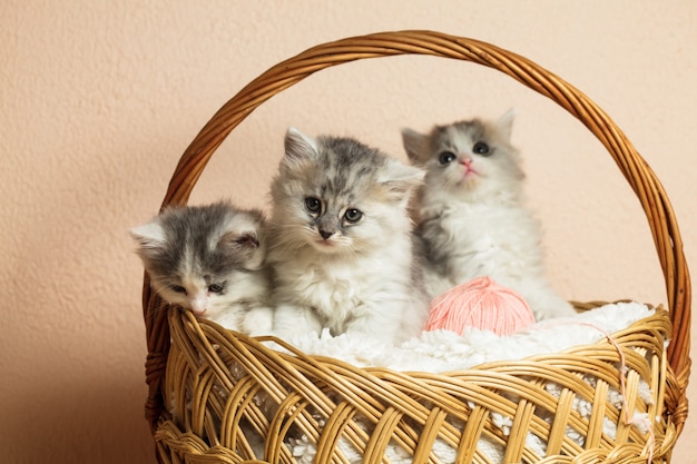 Tres gatitos grises en una canasta con una bola de hilo rosa