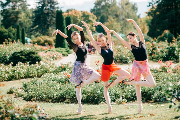 Três graciosos bailarinos posando e dançando no belo parque de verão