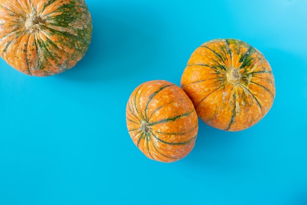 Tres hermosas calabazas maduras en azul