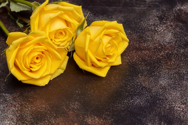 Tres hermosas rosas amarillas en la pared marrón