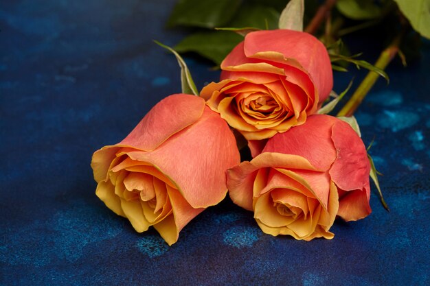 Tres hermosas rosas naranjas en la pared azul