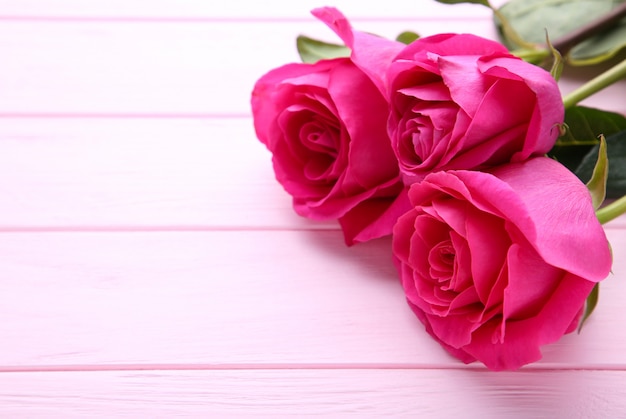 Tres hermosas rosas rosadas