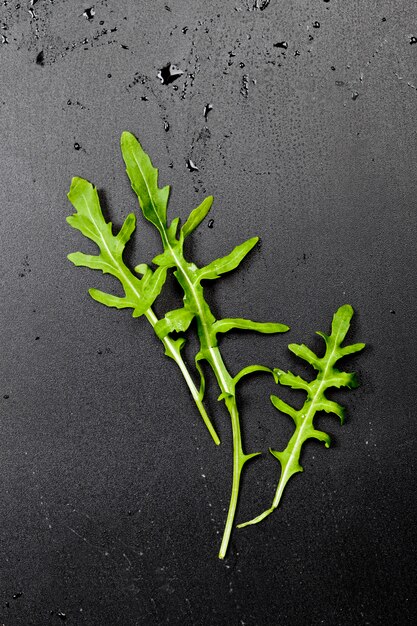 Tres hojas verdes frescas de rúcula o rúcula.