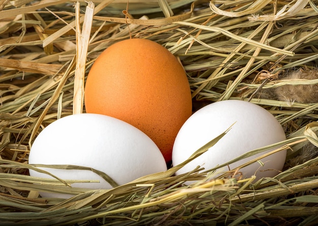 Tres huevos de gallina frescos en el nido de heno