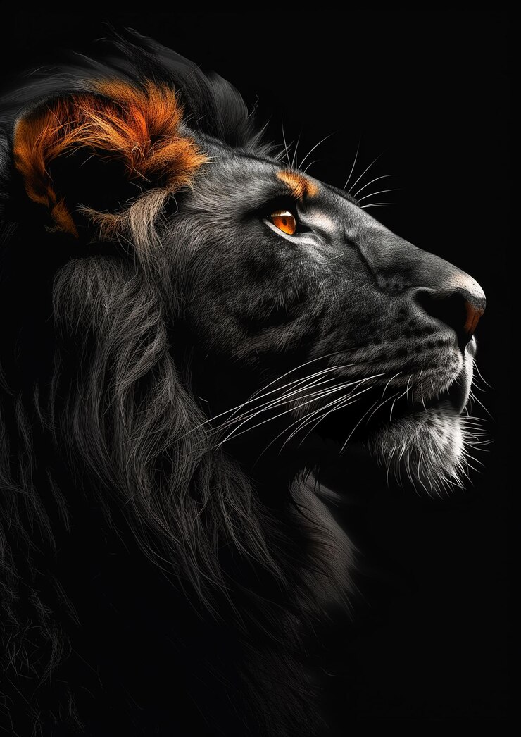 Foto três leões estão em uma rocha, um deles é um leão e o outro é um león.