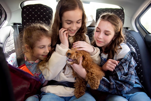 Três lindas garotas e cachorro no carro