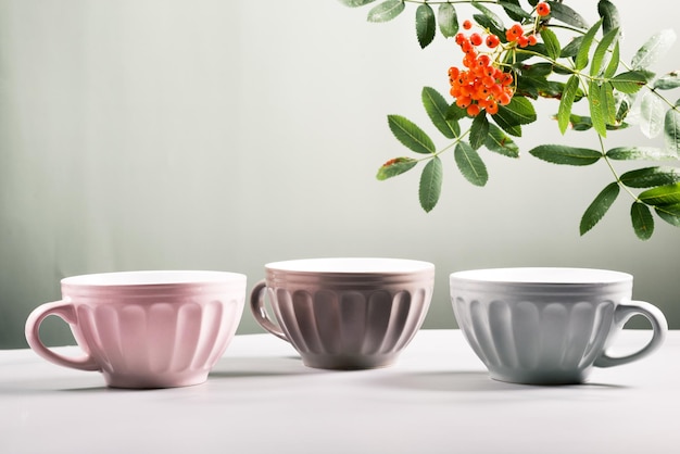 tres lindas tazas de café de cerámica vacías colores pastel y rama de serbal