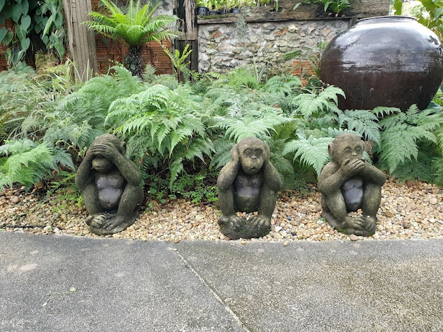 Tres monos sabios en el jardín son una máxima pictórica que encarna el principio proverbial