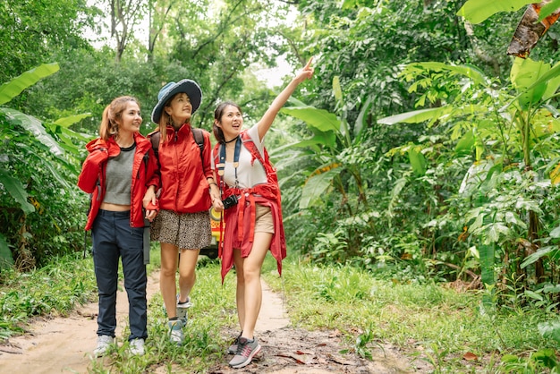 Três mulher asiática, caminhadas na floresta de férias