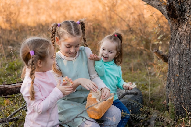 Tres niñas hacen un picnic en el bosque de otoño y comen pan los niños caminan al aire libre