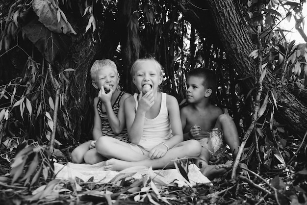 Tres niños del pueblo juegan en una choza que ellos mismos han construido con hojas y ramitas Casa de madera en el bosque Fotografía en blanco y negro