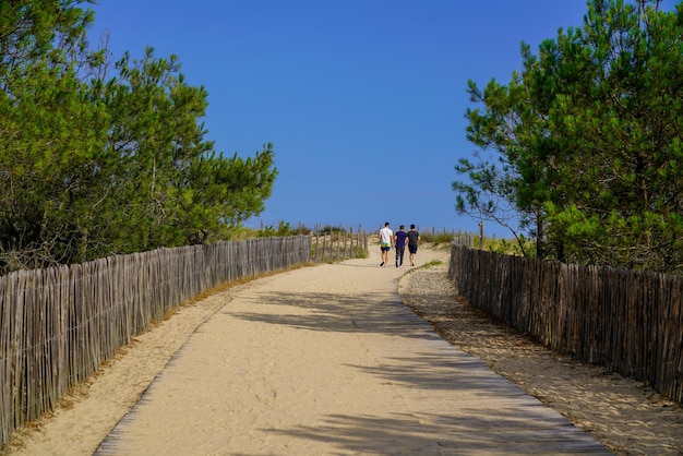 Tres novios van a la playa en un día de verano