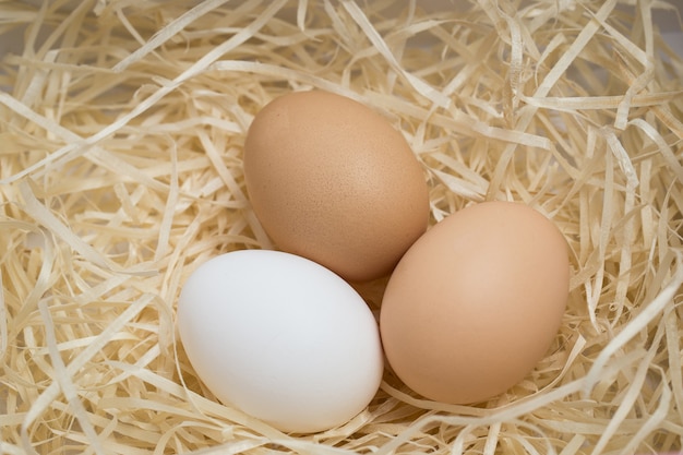 Foto três ovos de galinha repousam em um ninho de palha, filmado em close-up