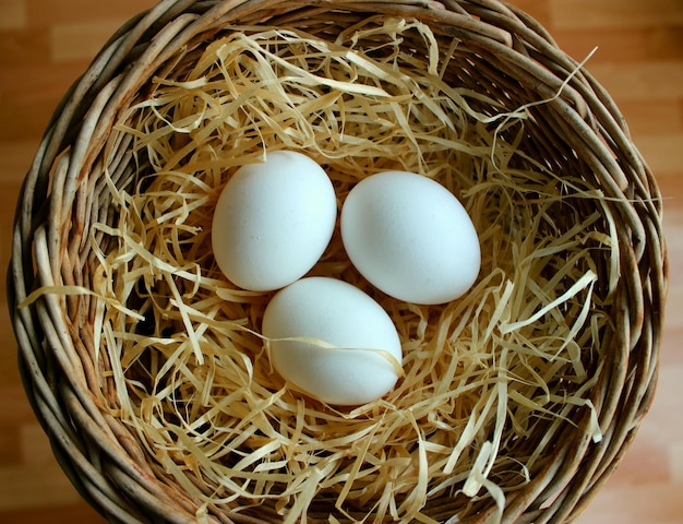 Três ovos recentemente colhidos em aparas de madeira dentro de uma panela de vime vista superior - imagens de bancos de imagens