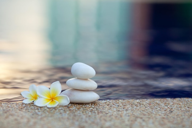 Foto três pedras com flores colocadas na areia