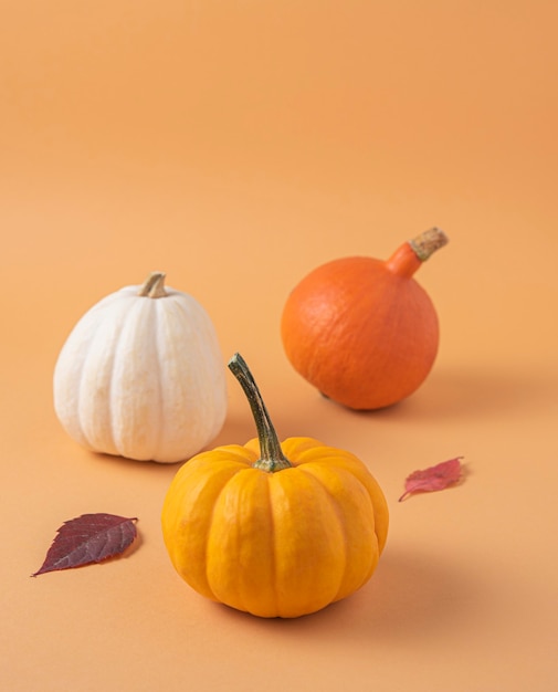 Três pequenas abóboras decorativas multicoloridas e folhas de outono em uma laranja