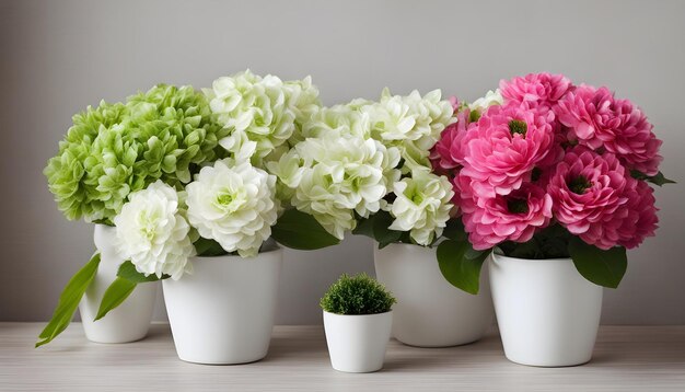 tres plantas blancas con flores blancas y plantas verdes