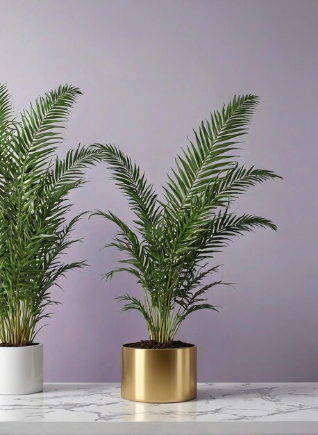 tres plantas en maceta en una mesa de mármol