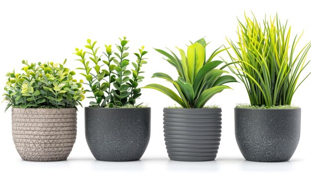 Foto tres plantas en maceta sentadas juntas adecuadas para la decoración del hogar