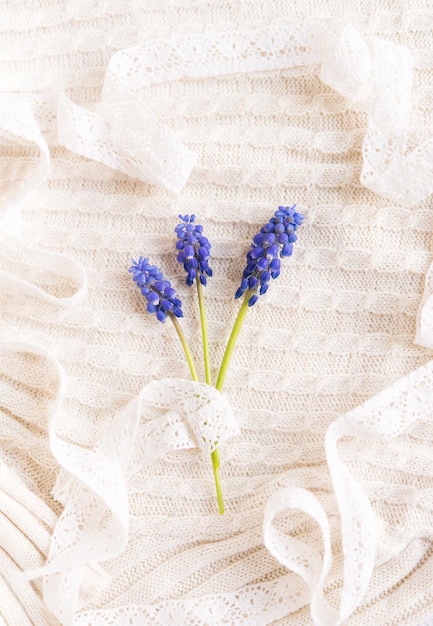 Tres ramitas con pequeñas flores moradas campanillas sobre un delicado fondo pastel