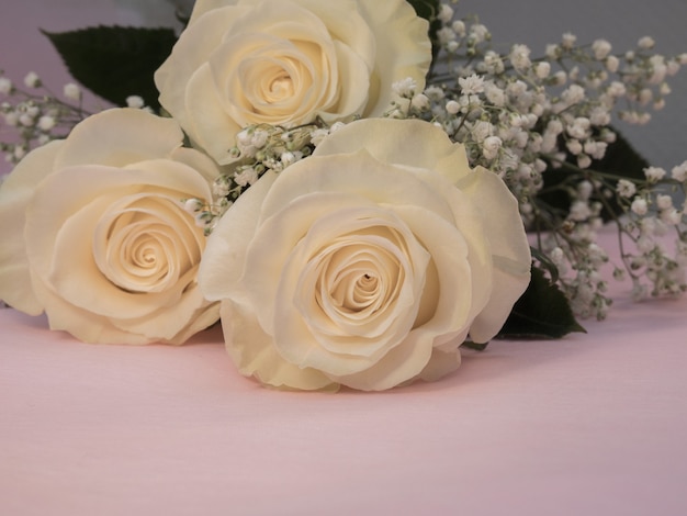Foto três rosas brancas repousam sobre um fundo rosa, flores muito bonitas para o casamento