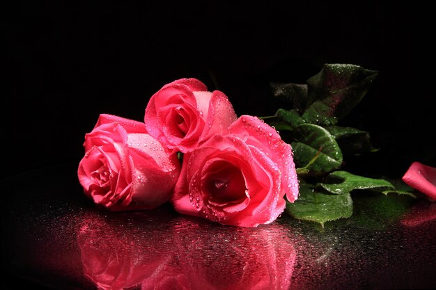 Tres rosas rojas con gotas de agua sobre un fondo negro.