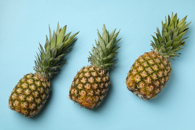 Tres sabrosas piñas maduras sobre fondo azul.