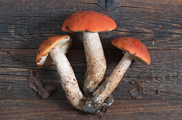 Tres setas boletus de tapa naranja sobre fondo de madera oscura de cerca, vista superior