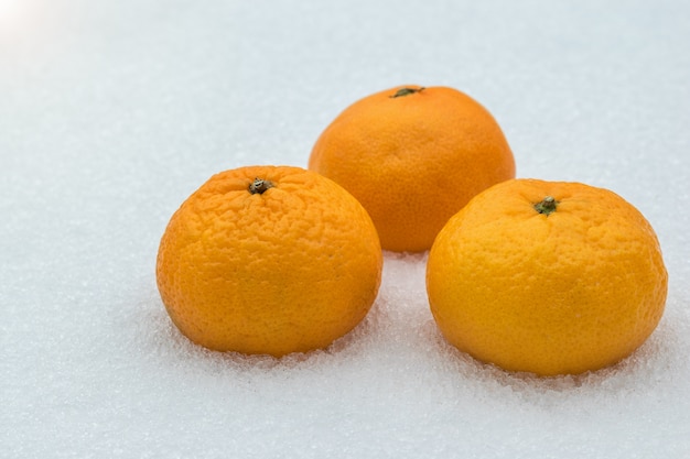 Três tangerinas maduras na neve fresca