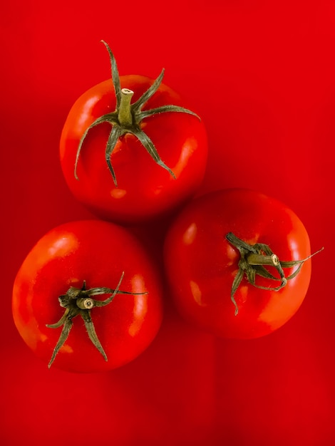 Três tomates em um fundo vermelho.