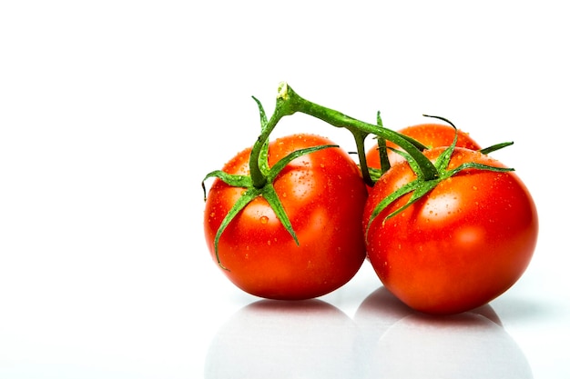 Foto três tomates frescos maduros na videira com orvalho neles