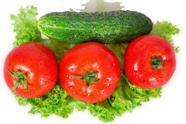 Tres tomates y pepino se encuentran en hojas de lechuga sobre un fondo blanco.