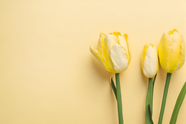 Tres tulipanes amarillos sobre un fondo amarillo