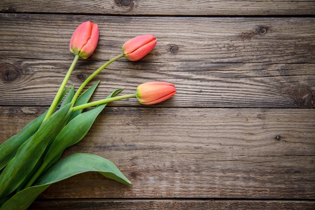 Três tulipas vermelhas em fundo de madeira