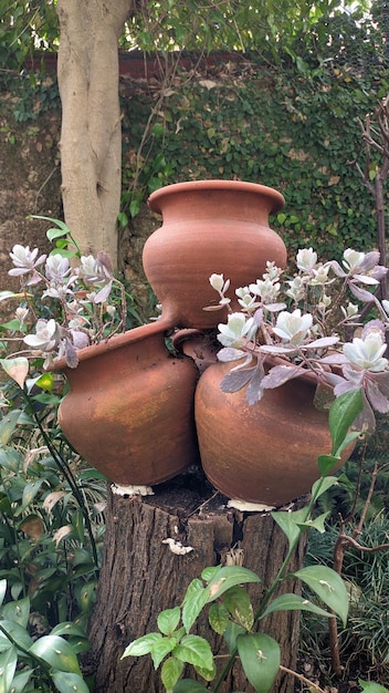 Tres vasijas de barro con plantas verdes que crecen en su interior