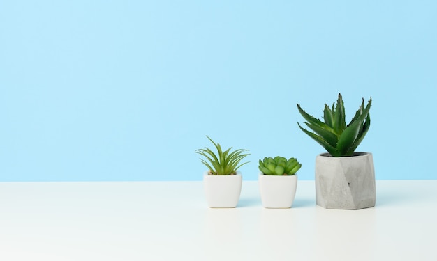 Três vasos de cerâmica com plantas em uma mesa branca, fundo azul, copie o espaço