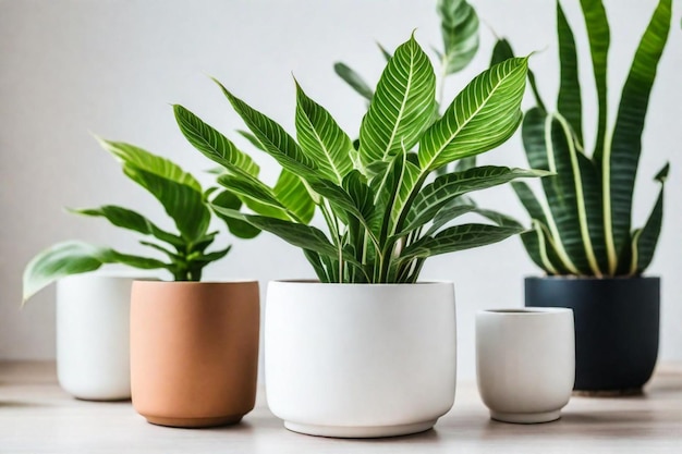 três vasos pequenos com plantas e um que tem uma planta nele