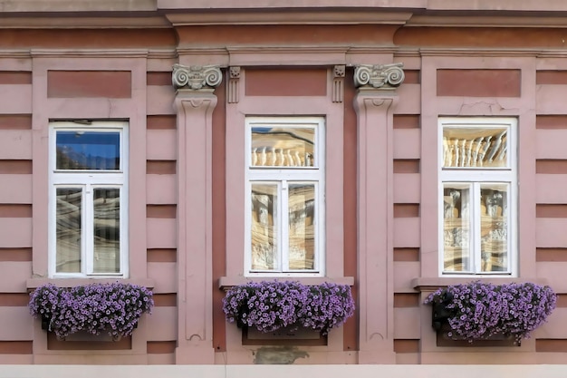 Tres ventanas con flores delante de ellas.