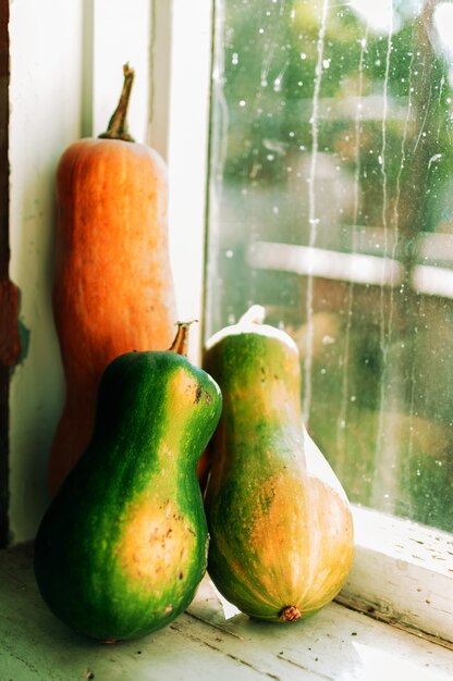 Três verdes e abóboras alaranjadas em uma soleira de madeira. bela composição de outono para o dia de ação de graças ou halloween. conceito de colheita de outubro.