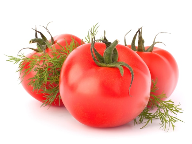 Tres verduras de tomate y hojas de eneldo bodegón