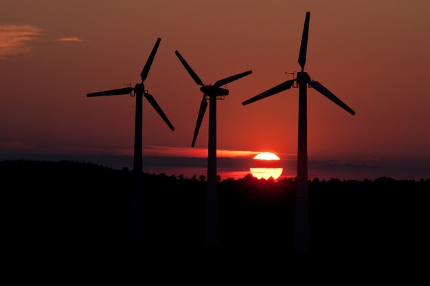 Tres windmils en puesta de sol