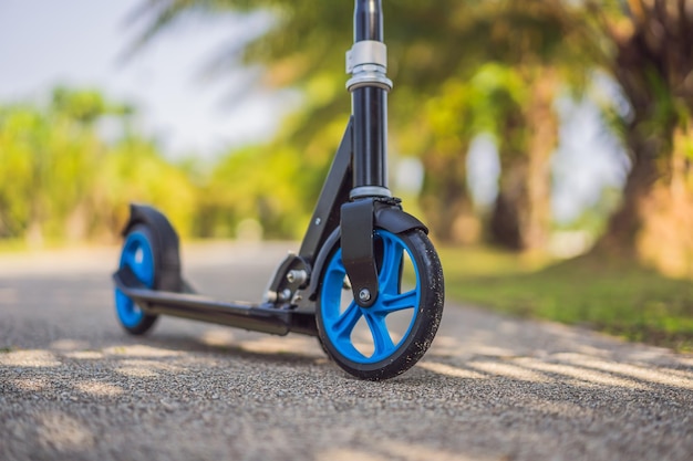 Tretroller im Park Outdoor-Aktivität für Kinder auf sicherer Wohnstraße aktiver Sport für