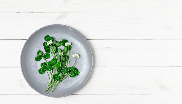 Foto trevo fresco para salada primavera em um prato cinza