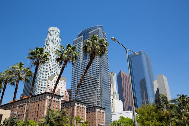 Foto tríade de palmeiras do centro da cidade de los angeles pershing square