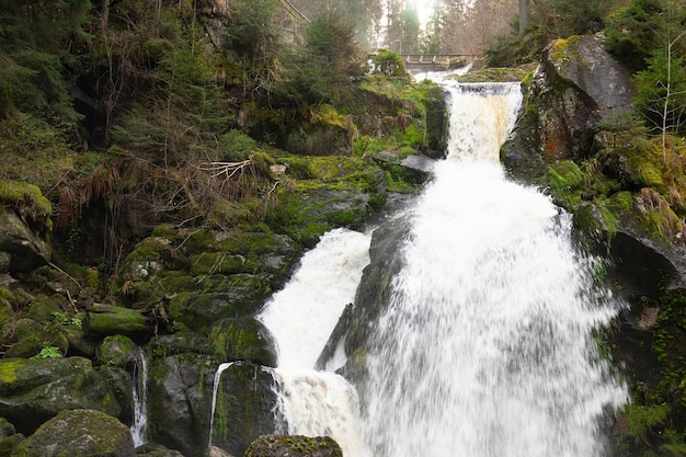 Triberg Wasserfall Schwarzwald höchster Wasserfall Deutschland Gutach Fluss stürzt über sieben große Stufen