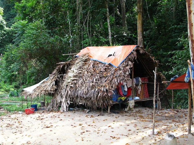 Tribos no parque nacional de Taman Negara Malásia