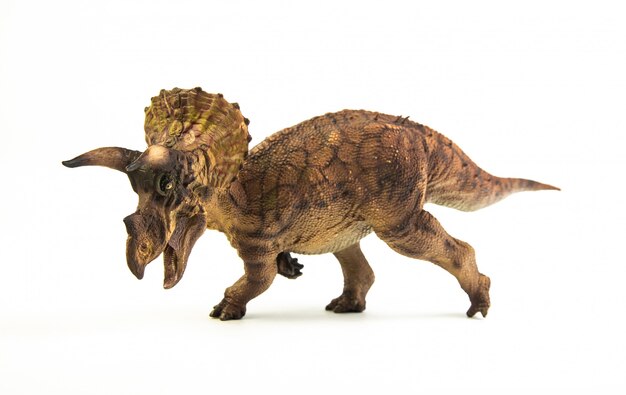 Triceratops, dinosaurio